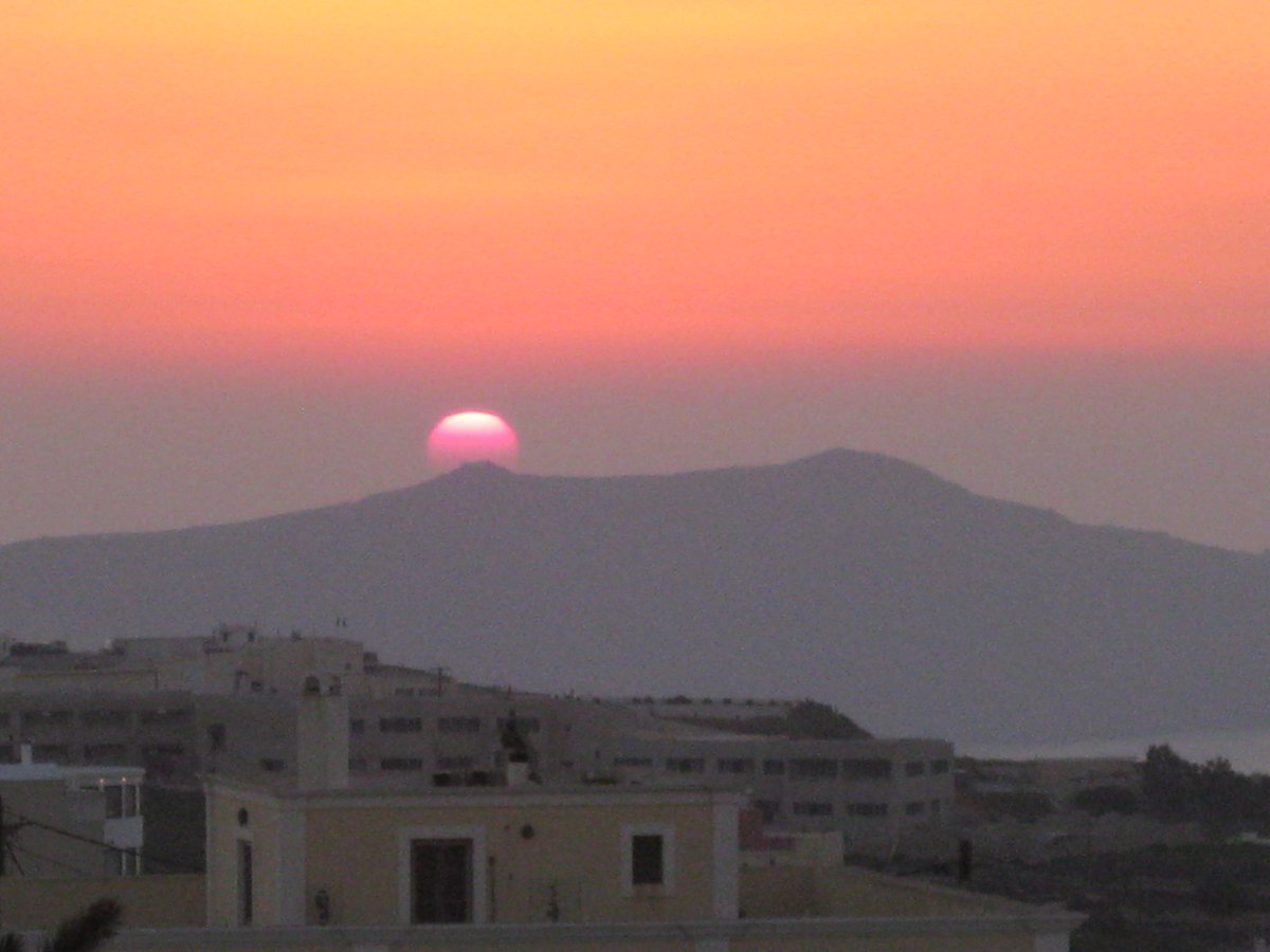 Sharon Wolf tweet media