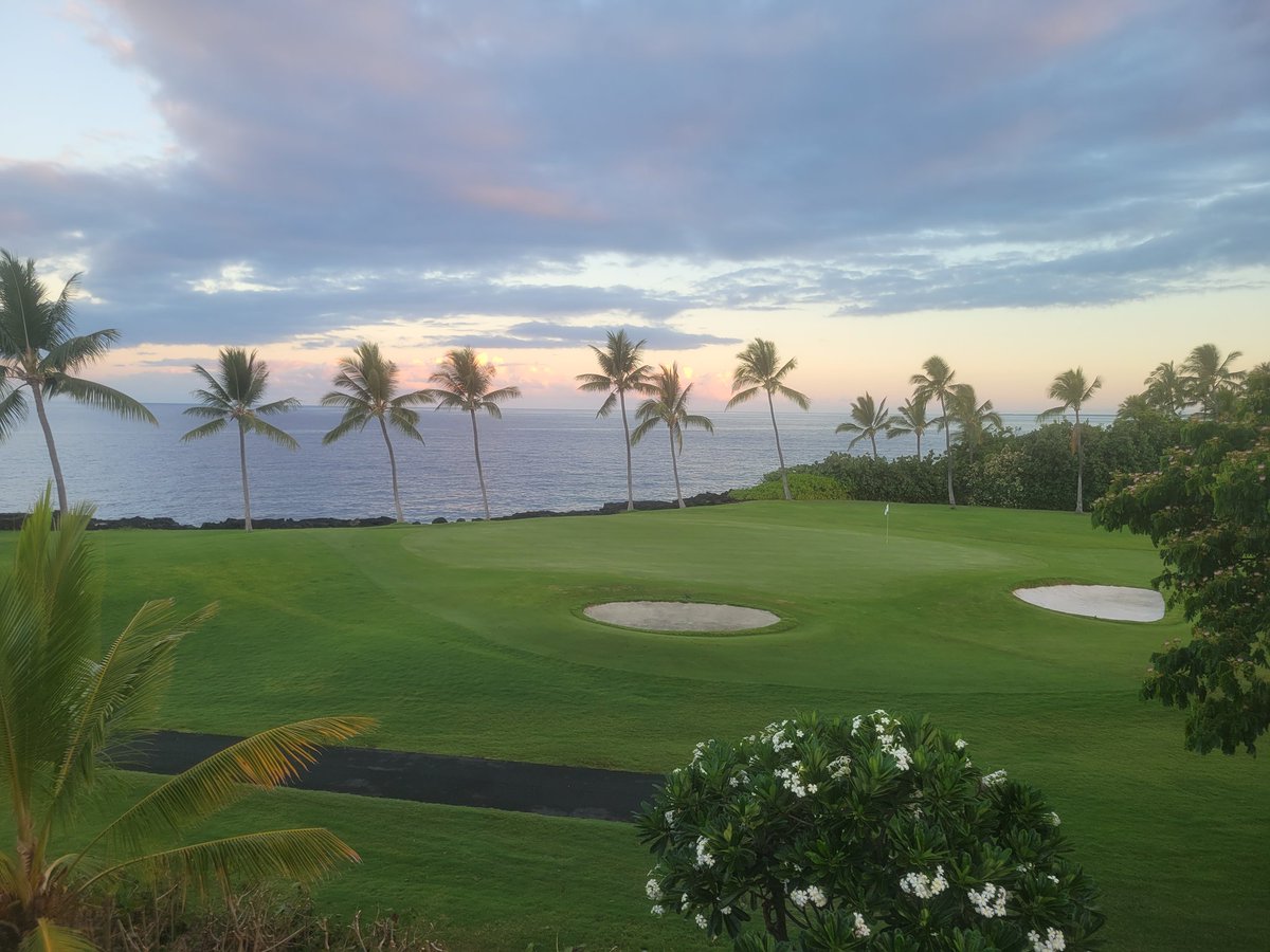 jsanderswv's tweet photo. A little bit of paradise! https://t.co/ily05ZrqfB