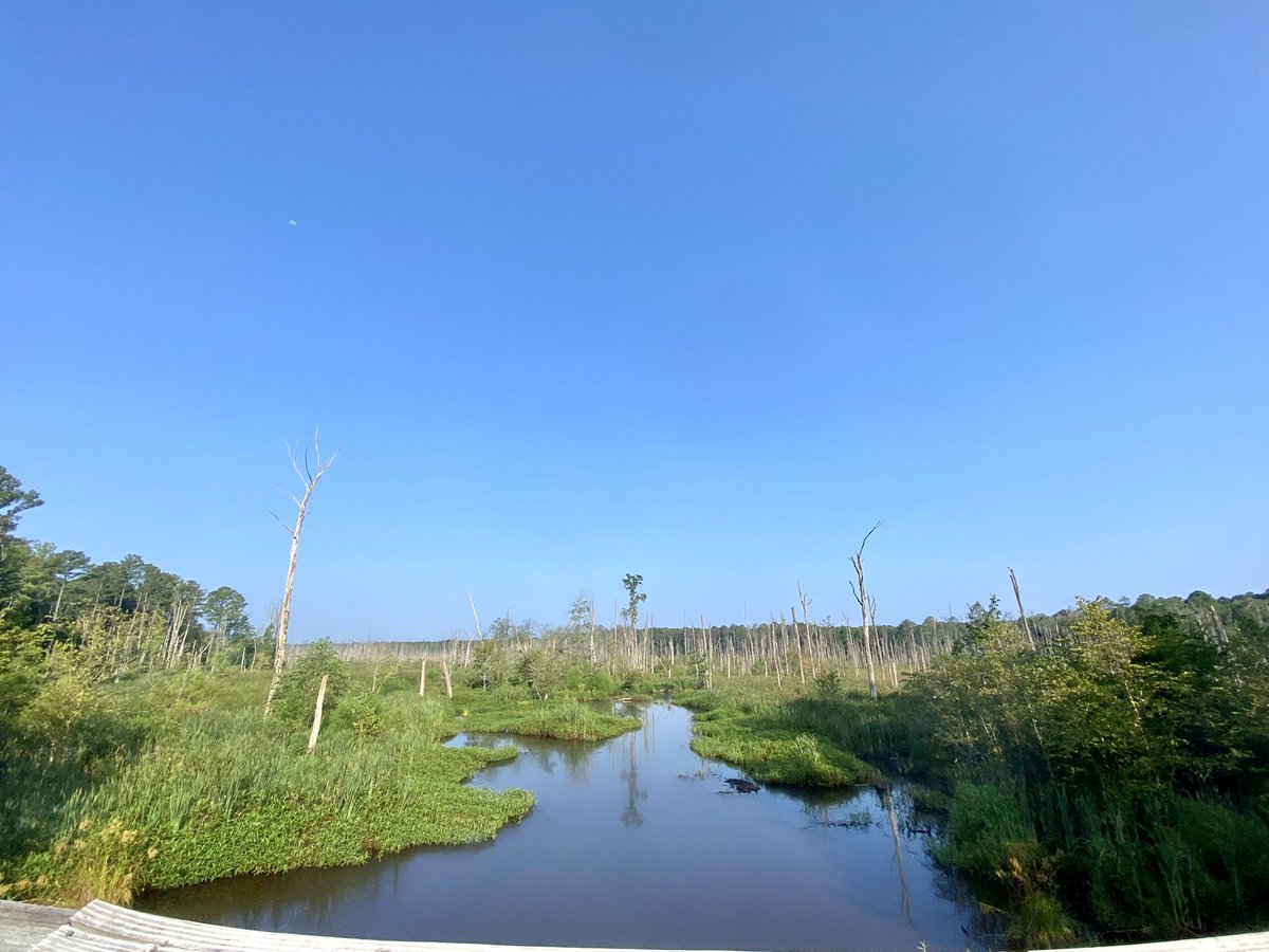 Ryan Schultz tweet media