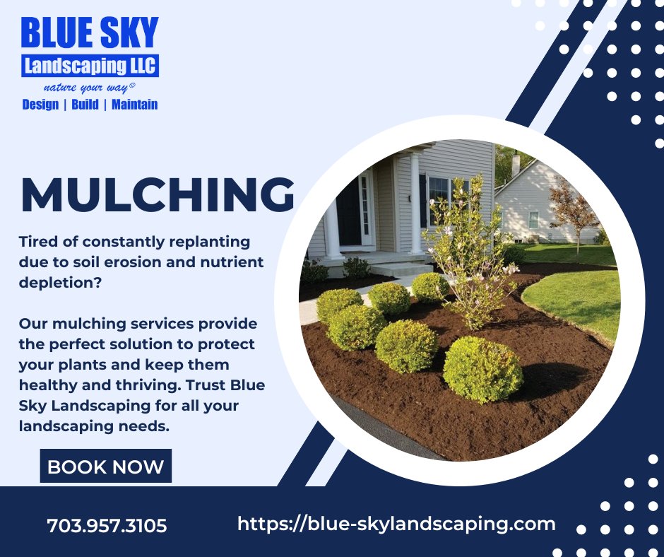 Mulching your yard can have many benefits, including regulating soil moisture, protecting plant roots, improving the appearance of your yard, and controlling weeds. 
Call us for your mulching needs! 
703.957.3105 
blue-skylandscaping.com/spring-clean-up #landscape #landscapephotography #mulching