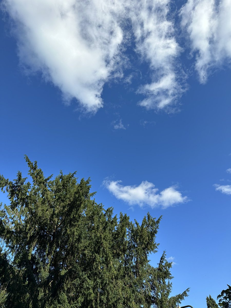 In equine therapy we grab the mindful moments when we can so I did some breathing in Nature and it was calm . No engine noises , no shouting , just the birds and wildlife and the wind #mentalhealth