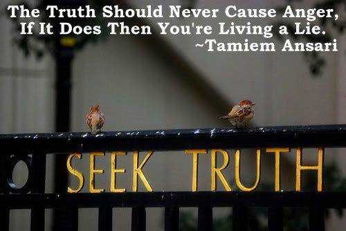 Myweeself's tweet image. #JusticeForNoahDonohoe 
#Week163 
#Believe 
#TruthMatters 
#NoahsArmy ⚡️
#Belfast 
#NoToPII