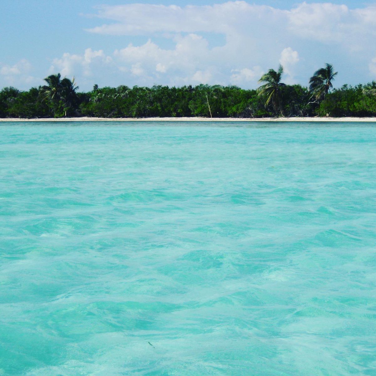 pasaporteblog tweet media