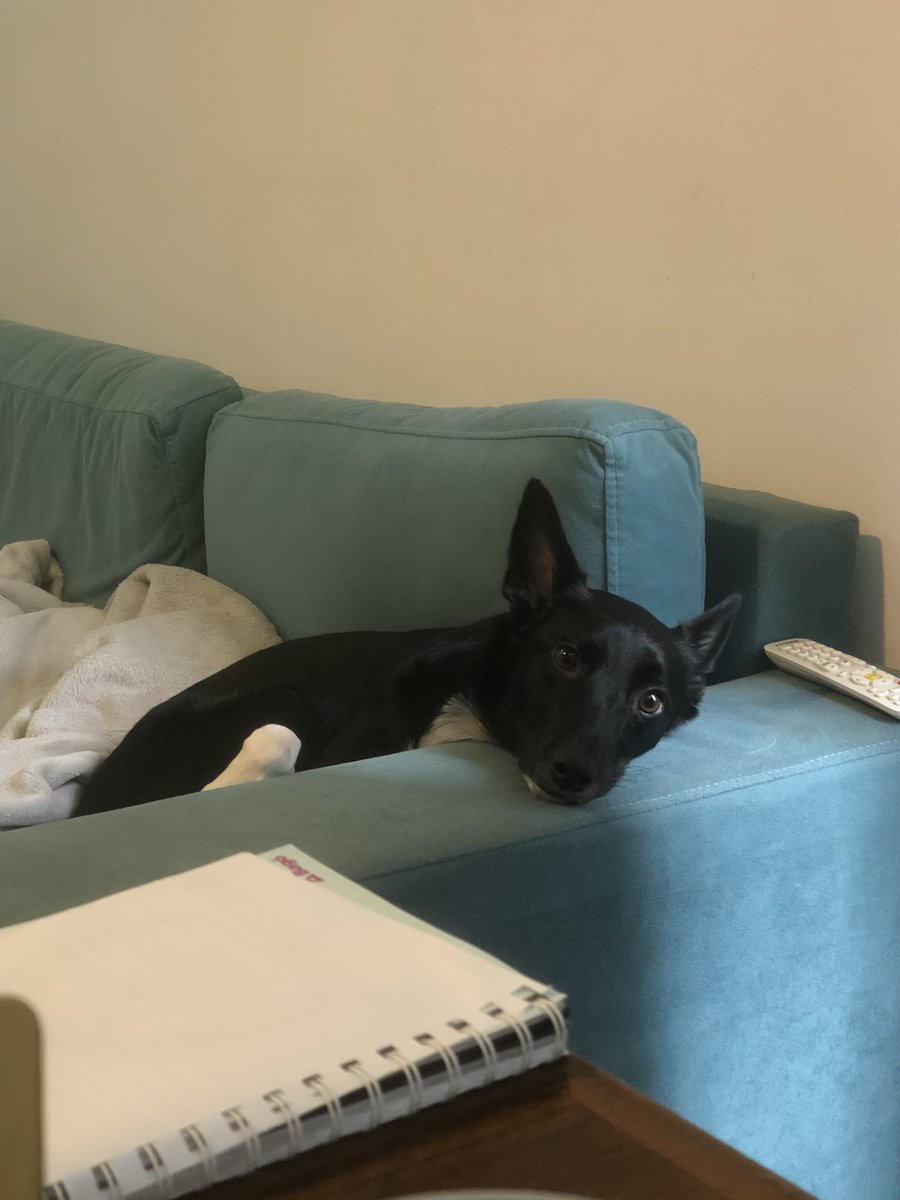 pauul1's tweet photo. @Estefierritox Mi Greta loca 🥰 https://t.co/VLmpt9mrid