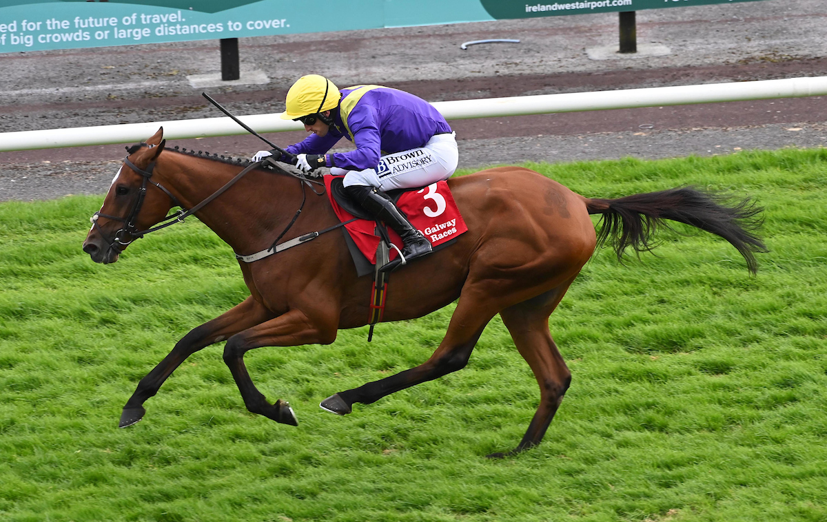 Galway_Races's tweet photo. 🏆8th race: The Fr. Breen Memorial (Pro-am) Flat Race
Won by: You Oughta Know
Trained by: W P Mullins
Ridden by: Patrick Mullins
Owned by: Luke McMahon
👏Congratulations from all the team at Galway Racecourse
📸Healy Racing
#GalwayRaces #RarinToGo #LetsRace https://t.co/mltgRWzgXp