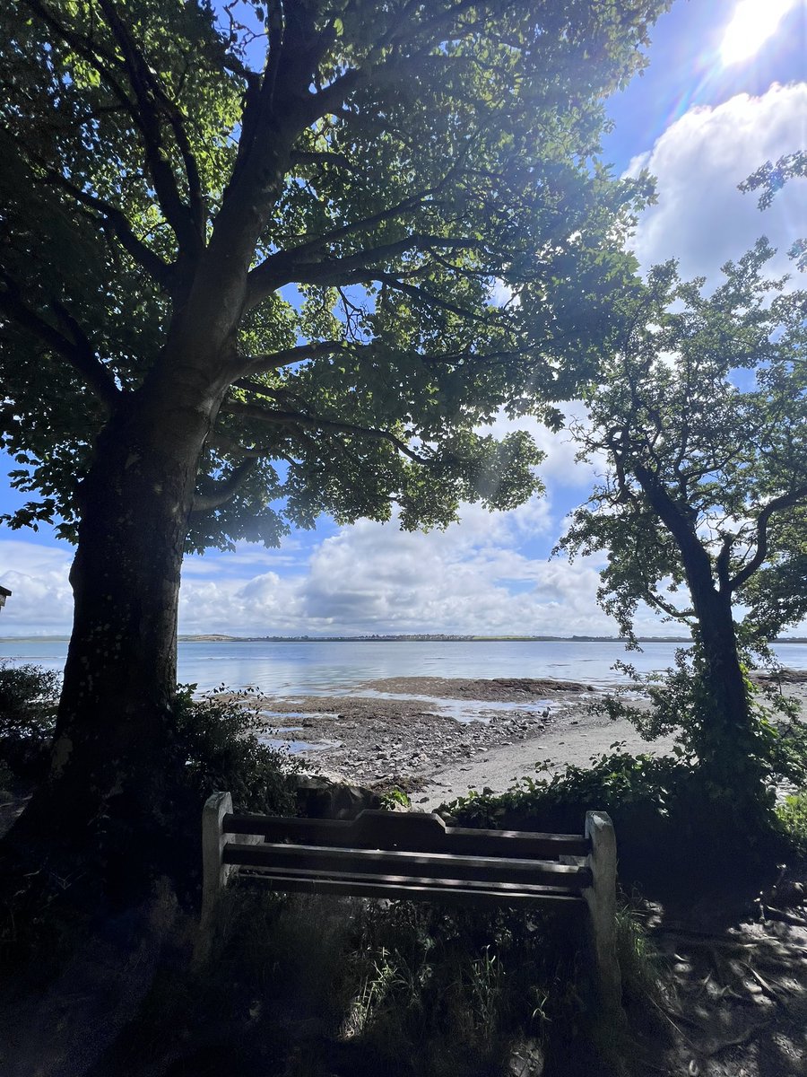 Made the most of a nice day, with a little walk in a most beautiful and quite a magical place @PenrhosSave it cannot be destroyed 🙁 #AchubPenrhos #SavePenrhos