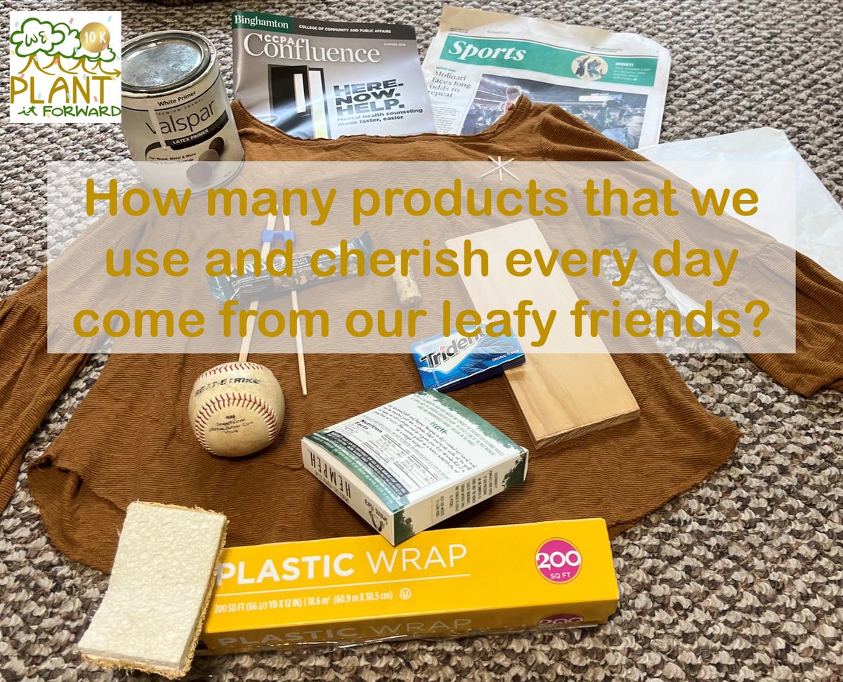 Hey Nature Explorers! Get ready to Tree Trivia this week
Trees weave into our lives in the most surprising ways! here is your Q of week
How many products that we use and cherish every day come from our leafy friends?
 Plant your answers below and let's grow our knowledge together