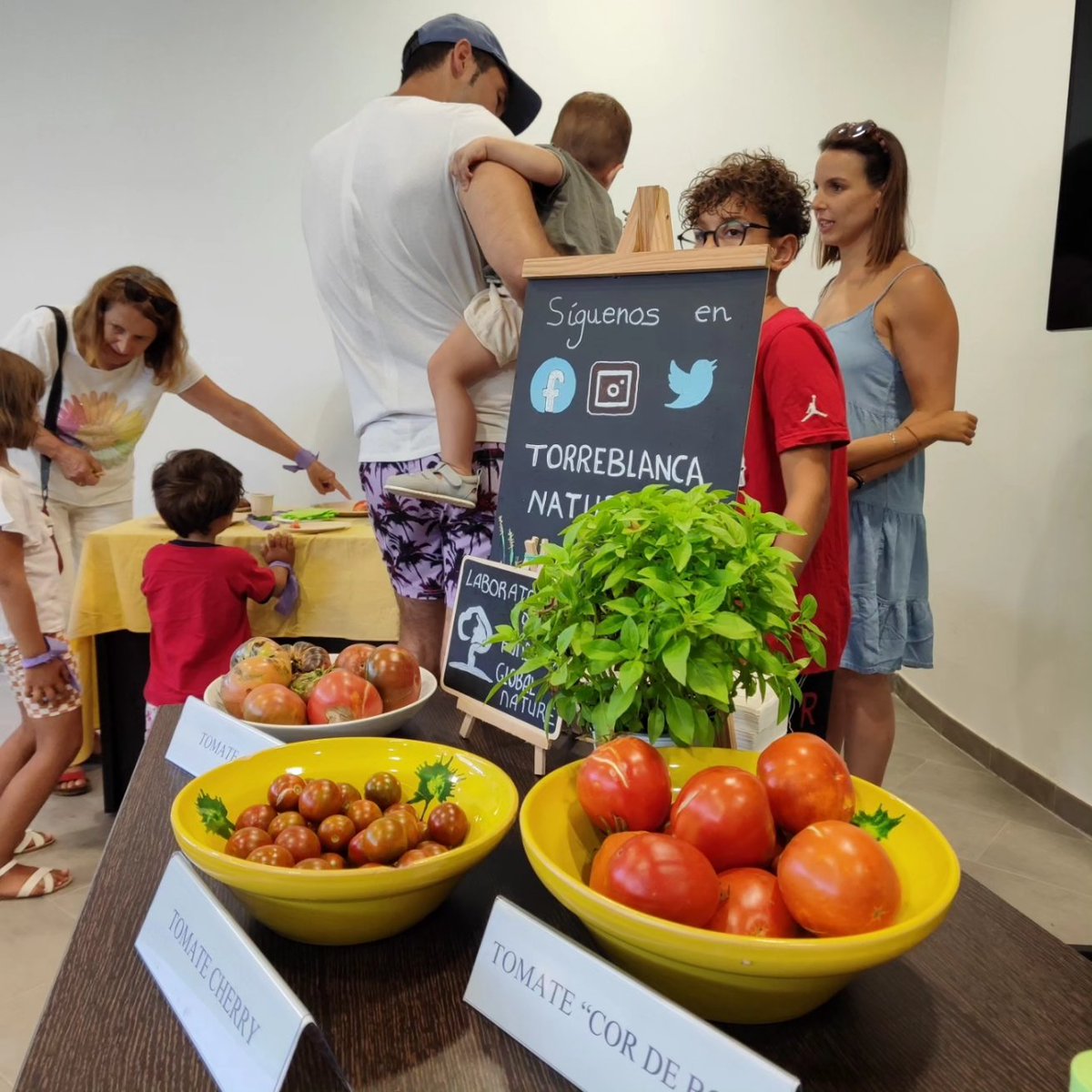 TorreblancaNatu's tweet photo. Desde @fglobalnature queremos apoyar a esos agricultores que trabajan en ecológico para proteger las lagunas del Prat y nuestra salud ❤️‍🩹. Graciassssss Carlos, (Casa les Monedes) por traernos esas sabrosísimas variedades de tomates y por enseñarnos trucos para su producción. 🍅 https://t.co/kUinqjp0As