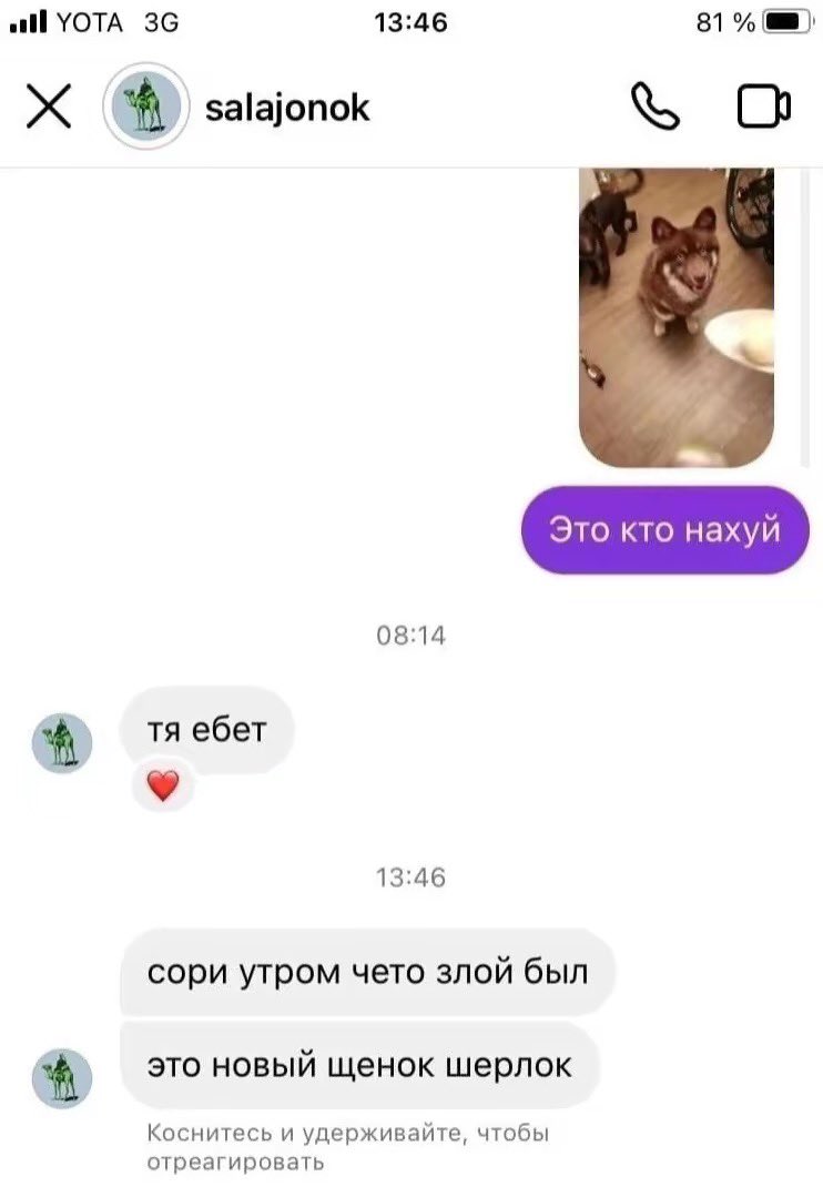 olyastoboy's tweet photo. яяяя https://t.co/j7T3GMX3vP
