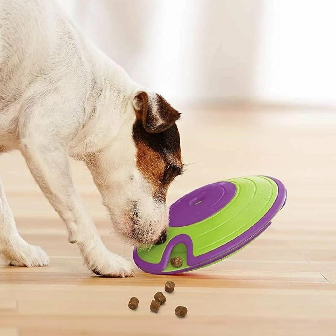 Dogs Today tweet media