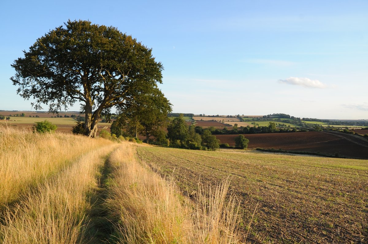 Visit_Lincs's tweet photo. A trailblazer’s paradise 🥾
Lace up your hiking boots or hop on your bike and set off on an unforgettable journey through the #LincolnshireWolds.
Plan your active adventure this #SummerinLincolnshire ☀️ https://t.co/TyfirFNI7s
@LoveLincsWolds https://t.co/5pZVozc69X