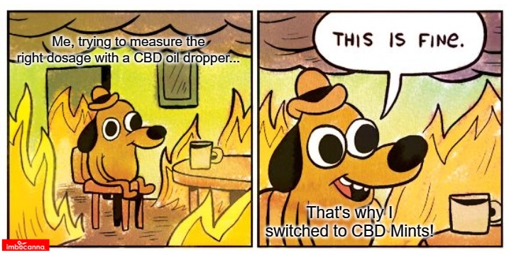 imbucannainc's tweet photo. When you're in a hot mess trying to measure the right CBD oil dosage, it's time for a cool change! Switch to CBD mints for precise and hassle-free dosing - because with Imbucanna, everything IS fine! 🔥➡️🍃https://t.co/Ip4R6EM1A6
#CBDMints #EasyDosing #NoMoreMess #ThisIsFineMeme https://t.co/Ys5y6fwdaU