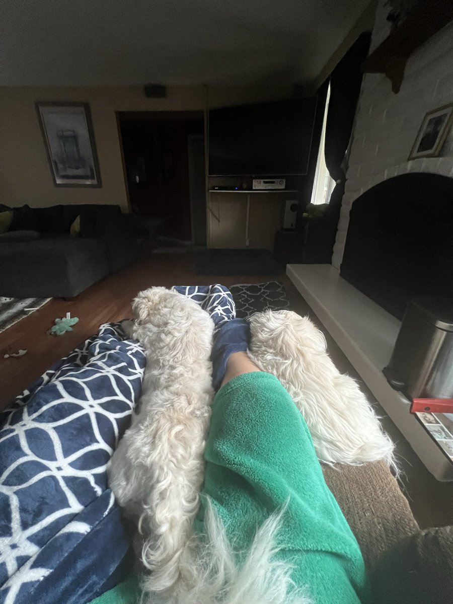 Violet77978311's tweet image. Shhhhh, if I am too cute she won’t get up for my 🛀✂️👀😫🙅‍♀️ #DogsoX