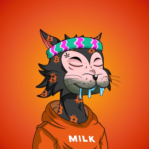 BitCats are on the loose! LFG 🚀 #NewProfilePic