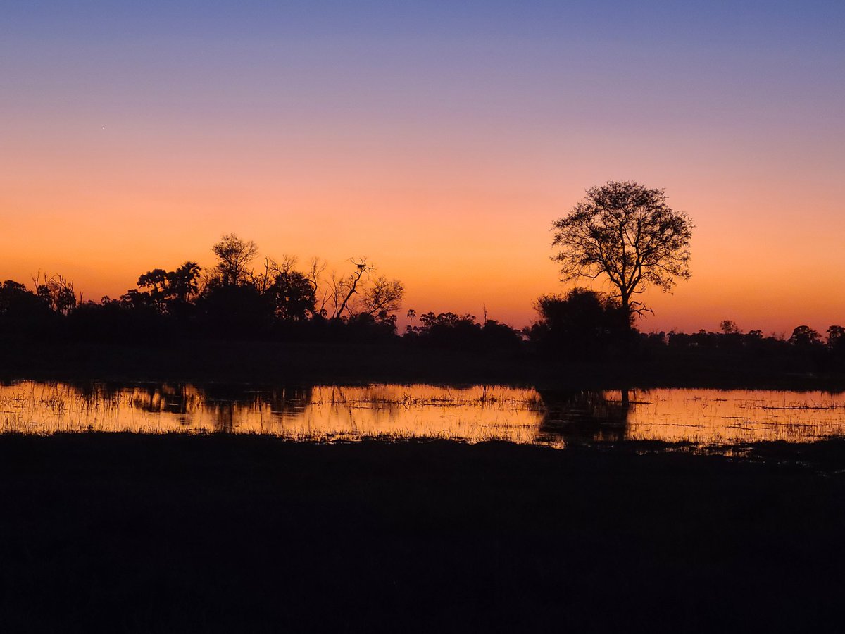 Ilaria Capua tweet media