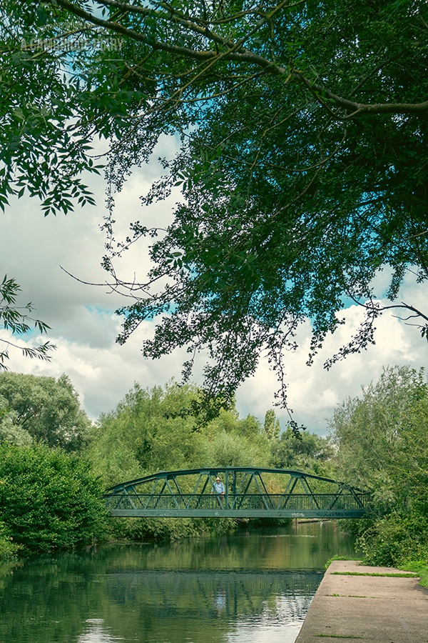 A Cambridge Diary tweet media