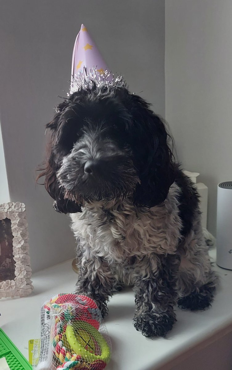 Look who's 1 today !