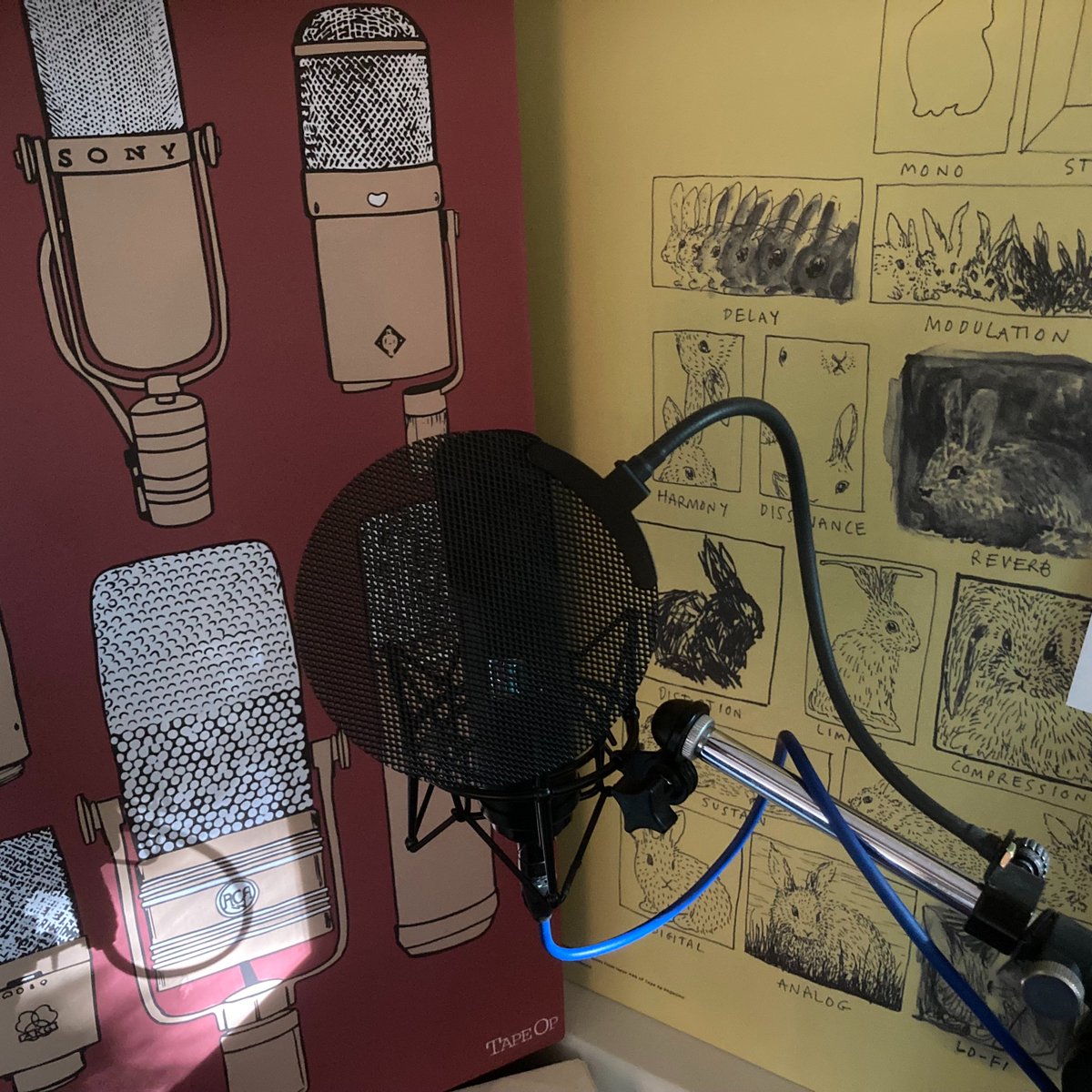 Tony Xenos tweet media