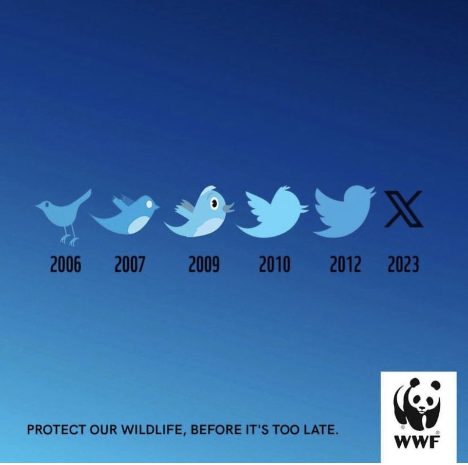 Protégeons la faune avant qu il soit trop tard <a href="/WWF/">WWF</a> <a href="/WWFFrance/">WWF France 🐼</a>