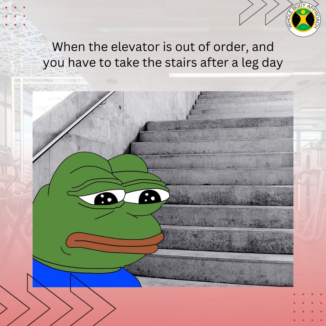 WBA2k10's tweet image. 😅🚫 Elevator Out of Order! Stairs, Here We Come! 🏋️‍♀️💪
#LegDayAftermath #FitnessHumor #WorkoutStruggles #LegDayGains #FitnessMotivation #FitnessInspiration #StayCommitted #FitnessCommunity #HealthAndWellness #FitLife #FitnessJourney #HealthyLifestyle #WorkoutChallenges