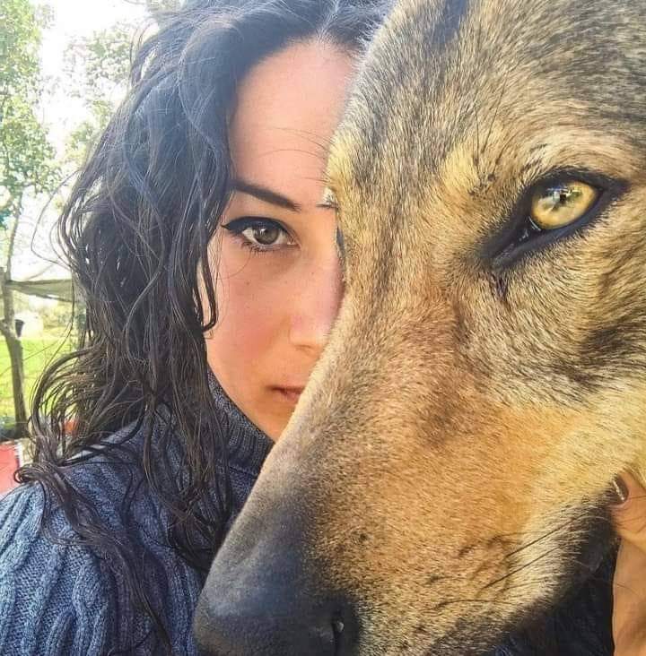 htyntky6223's tweet photo. Anayasanın ilk dört maddesini değiştirip, Türk adını,Türk dilini,Türk bayrağını, Türk Devleti'nin niteliklerini değiştirmye çalışan vatan hainlerine karşı,Türk Milleti'nin meşru müdafaa hakkı vardır. KULLANACAĞIZ!  
Hepsini gömecek kadar toprağımız var.
Ne mutlu Türk'üm diyene!.. https://t.co/hhuAfUyaej