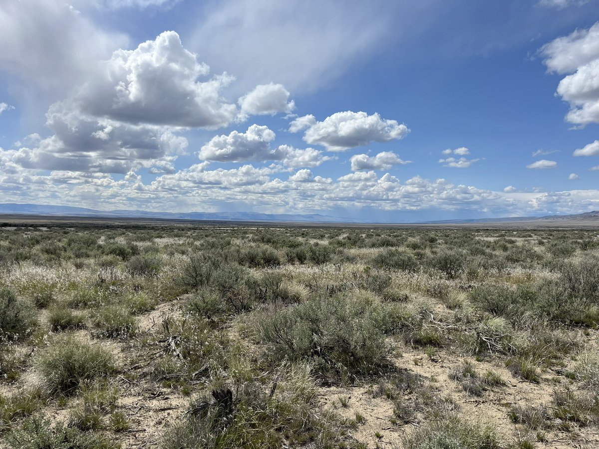 Maddy Case tweet media