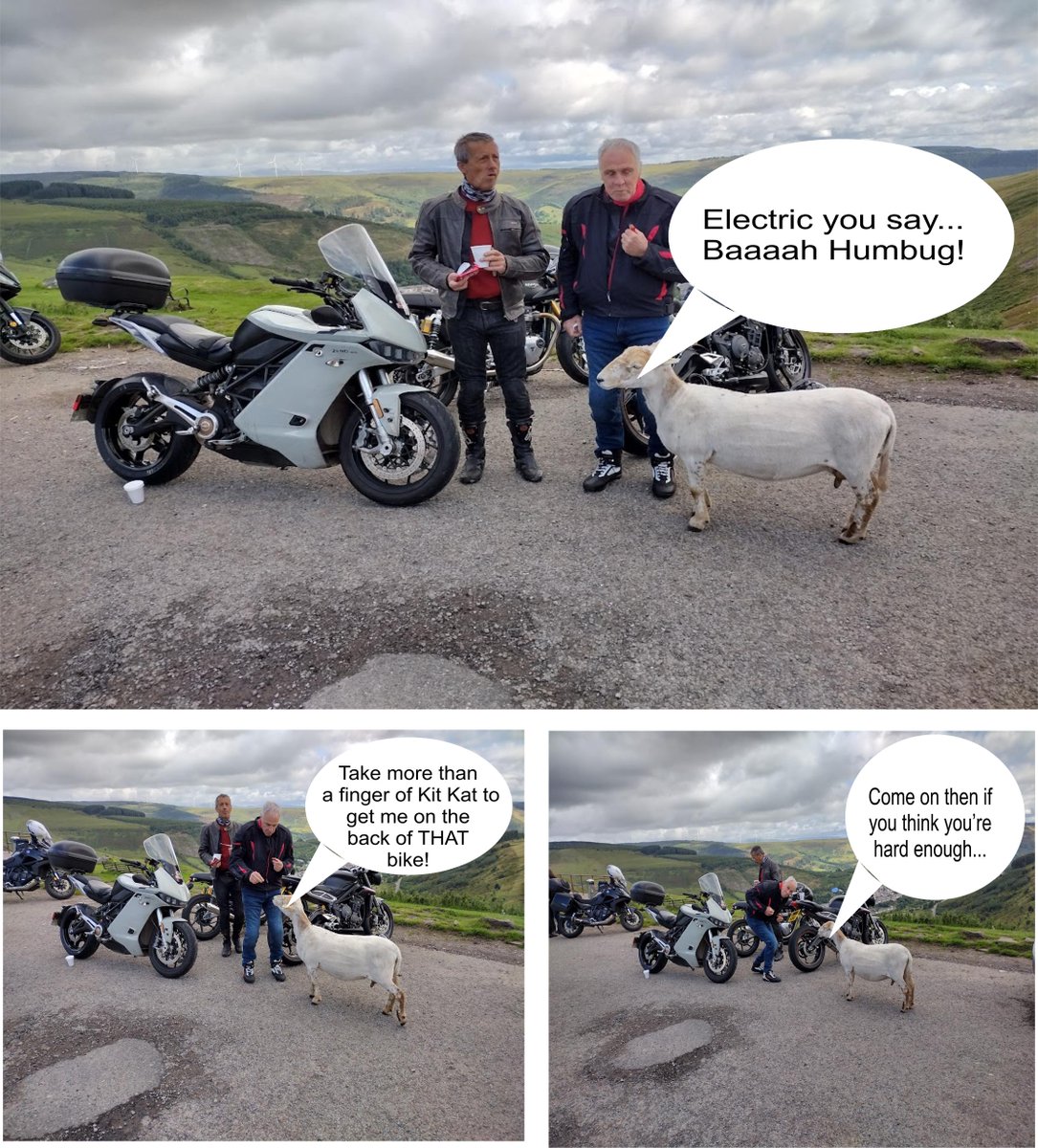 Do SHEEP dream of ELECTRIC MOTORBIKES? @OwlsNestTeaRoom #electricmotorcycle #electricmotorbike #zero #goelectric