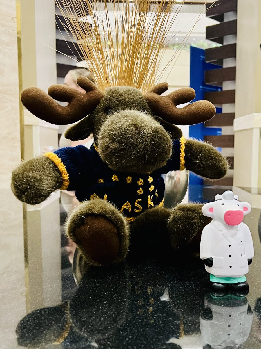 Dr Moo (@DrMoo4Kids) / Posts / X