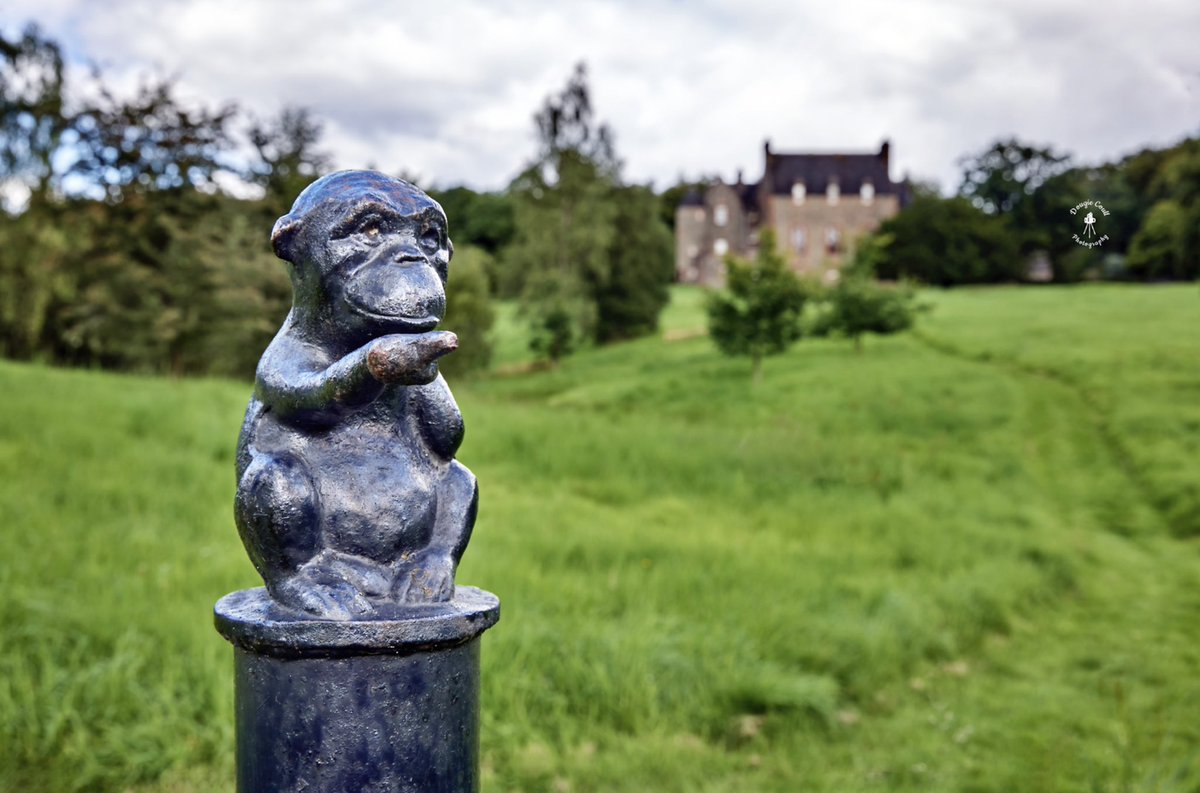 DougieCoullPix's tweet photo. 1/2 - This afternoon’s captures 😊

#formakinestate #bishopton #monkeyhouse #scotland #formakin https://t.co/nRAAW1IgHC