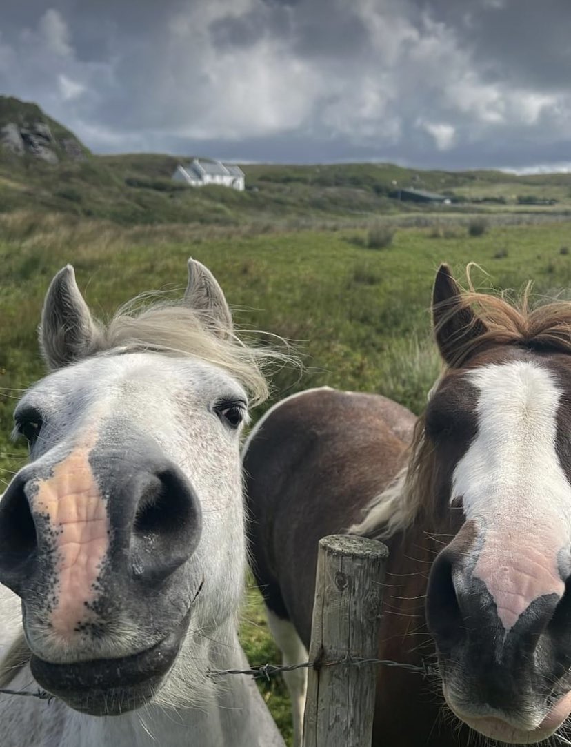 Irish summer… grey skies and walks between the rain showers #august