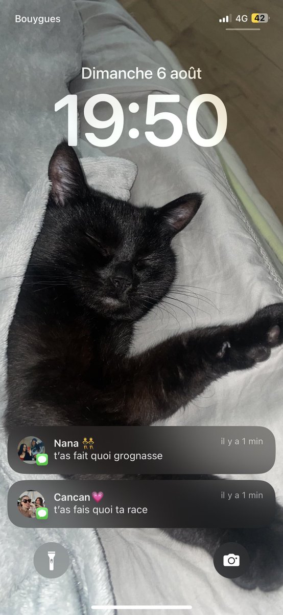 soxjly05's tweet photo. Elles sont trop à l’affût 😭 je vais crever https://t.co/KjJpgYhl49