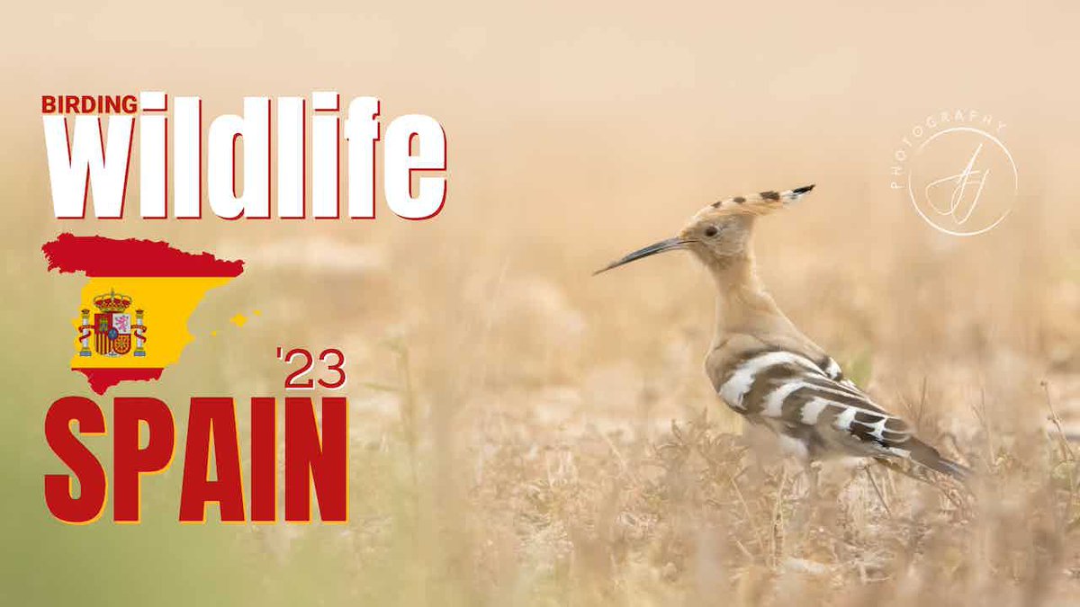 Adam Juckes tweet media