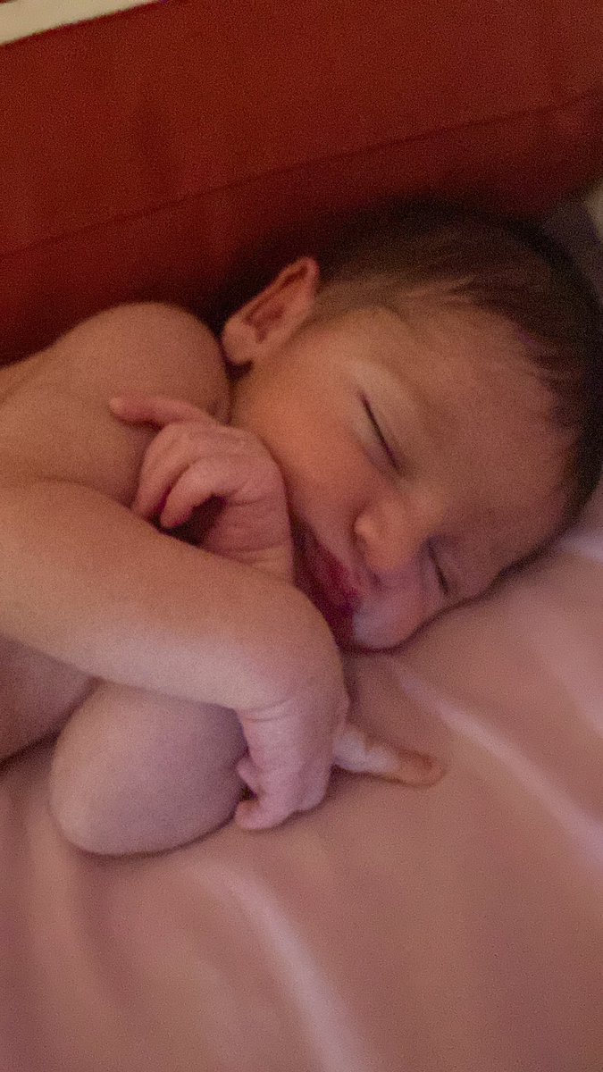Pinel_12's tweet photo. Cómo se puede querer tanto a una cosita tan pequeña ❤️‍🩹 https://t.co/hShDCAxQqe