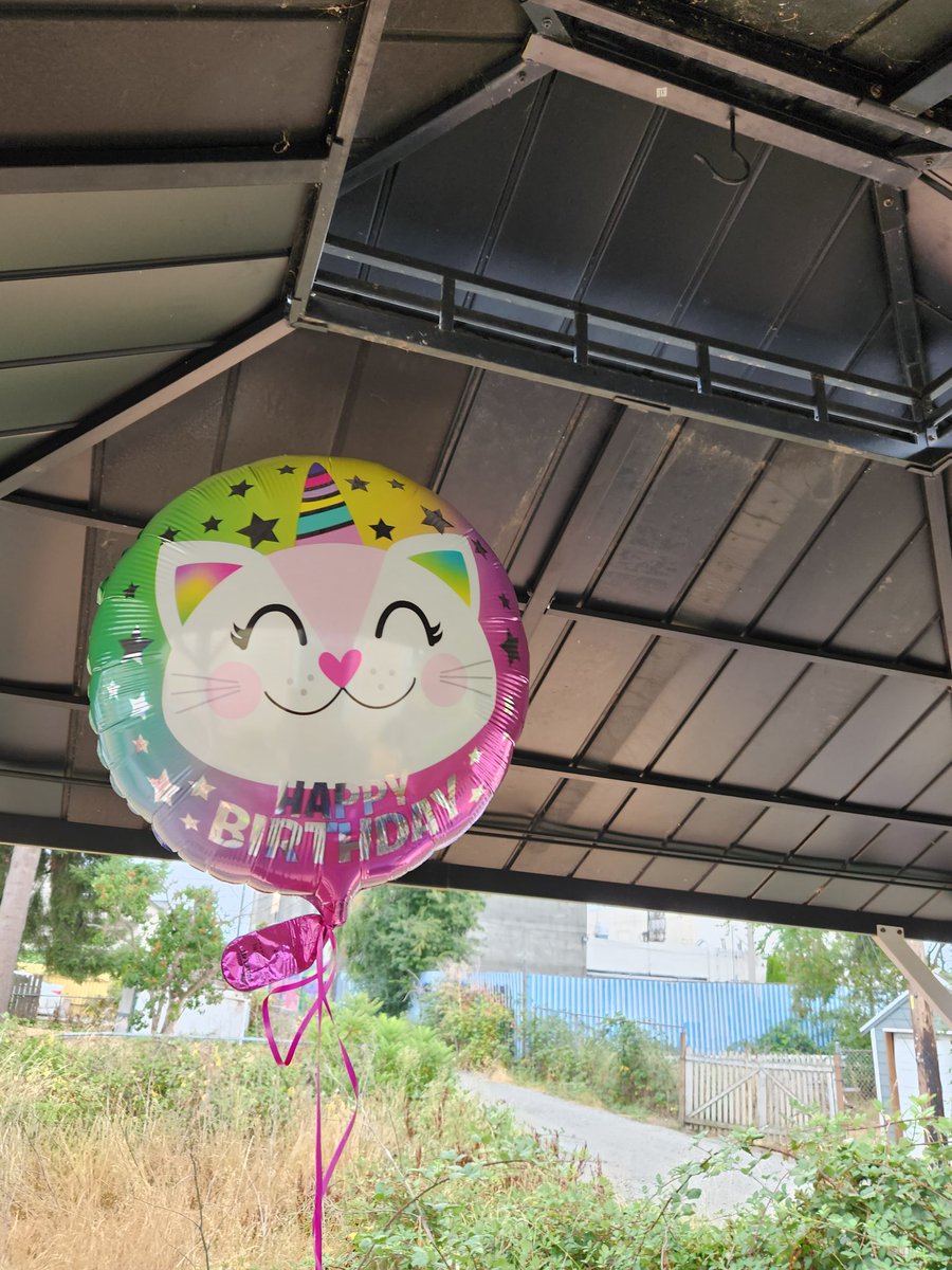 The_PrincessCat's tweet photo. It's balloon day 🥰🎉🎂 thanks @XHidaka1 https://t.co/rlfRfQ331m