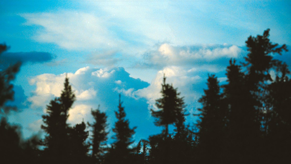 johncwingfield's tweet photo. Moments in the Alaskan wilderness, on 35mm film https://t.co/DyaPfs2dKw