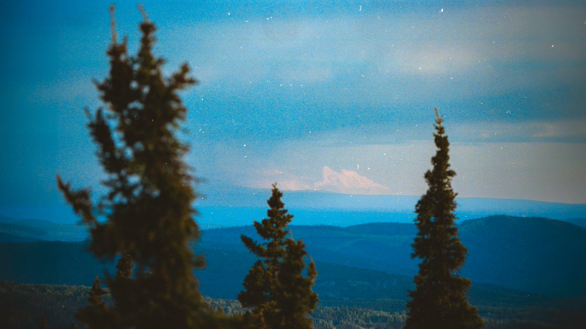 johncwingfield's tweet photo. Moments in the Alaskan wilderness, on 35mm film https://t.co/DyaPfs2dKw