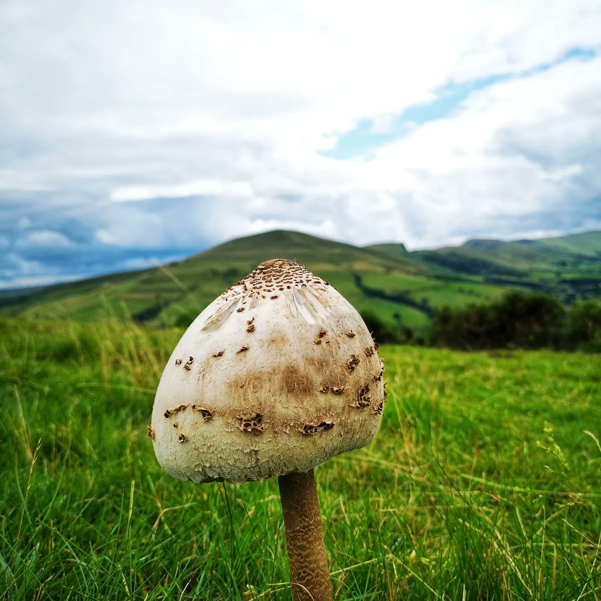 Trail Advantage - MTB Coaching and Guiding tweet media