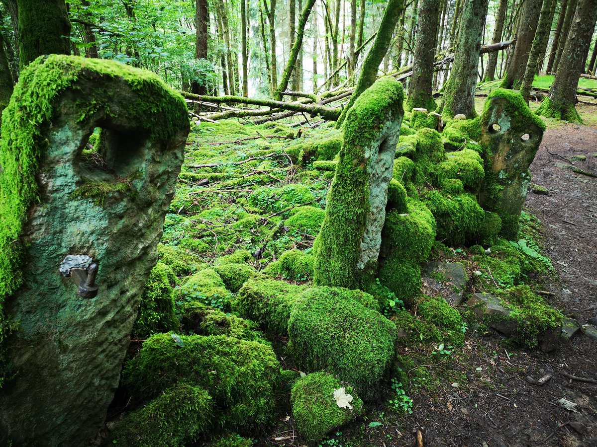 Trail Advantage - MTB Coaching and Guiding tweet media