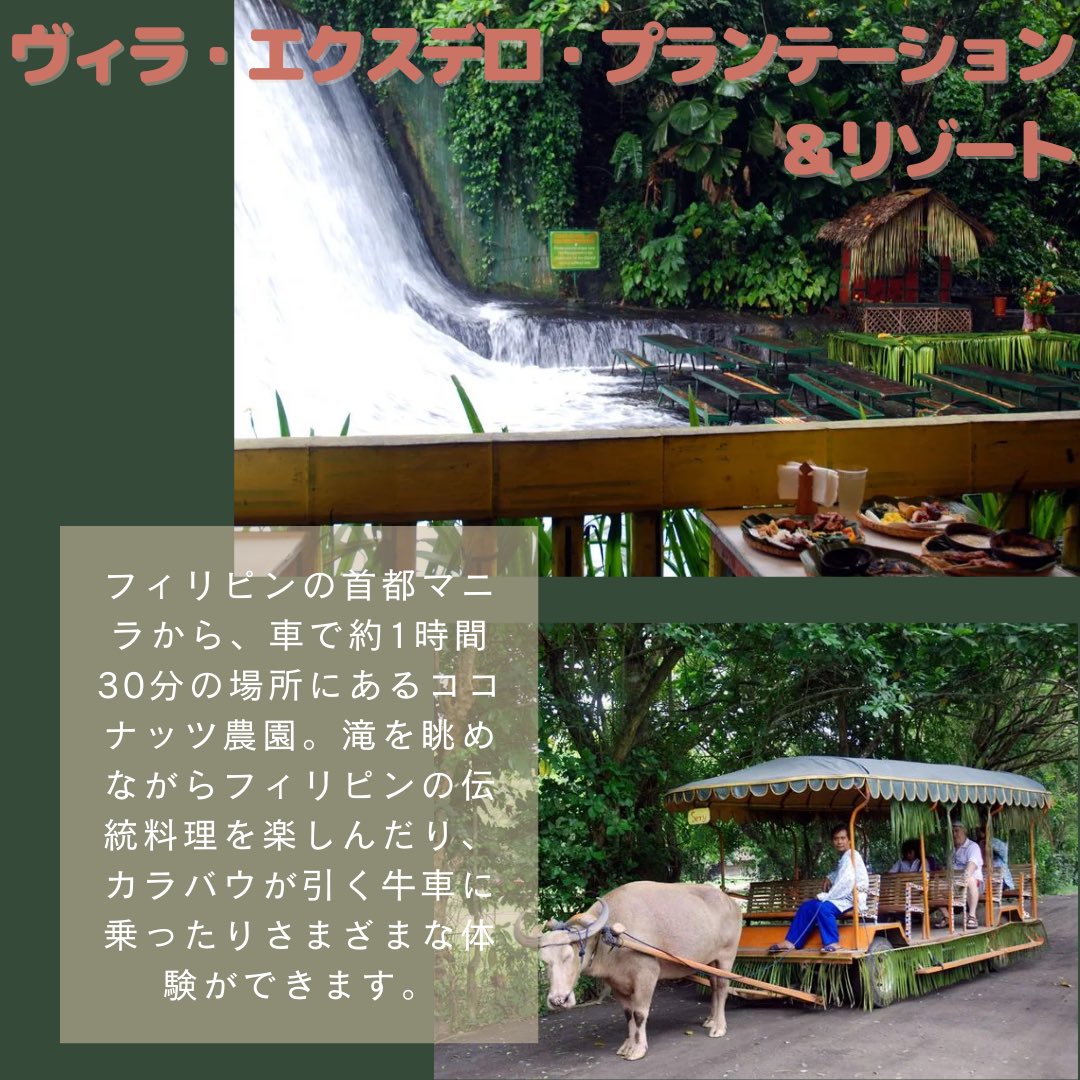 angle_switch's tweet photo. メンバーのけいとです！フィリピンの人気観光地について紹介します！

1シヌログ祭り
２プエルト・プリンセサ地下河川国立公園
3ヴィラ・エクスデロ・プランテーション&amp;リゾート

参考サイト
https://t.co/sRuWopcsmu
https://t.co/7B7DS2HZ5E
https://t.co/IdSZvWgRD1 https://t.co/iKnJwyow2N