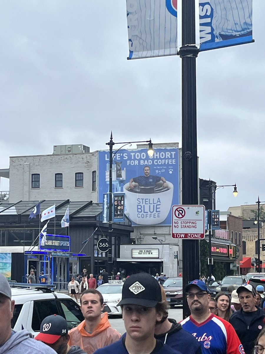 tyler_warner's tweet photo. Found a little cat in a big cup @BarstoolBigCat https://t.co/8ECxG8y4eD