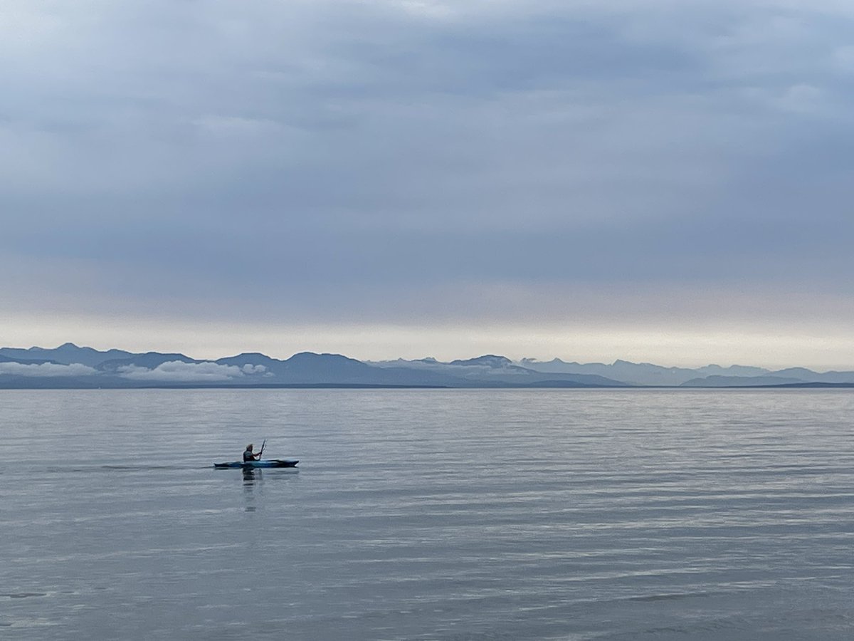 Katie ⚾️ tweet media