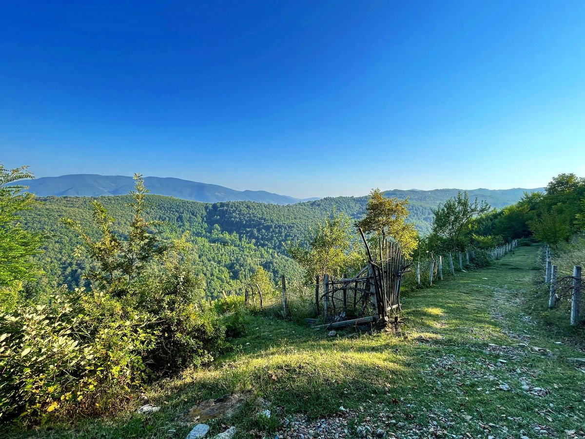 FurkanDosdogru's tweet image. Nature's embrace is pure magic 👋

#Devrek