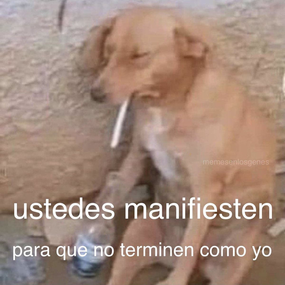 memesenlosgenes's tweet photo. https://t.co/Kr5vpSaaJp