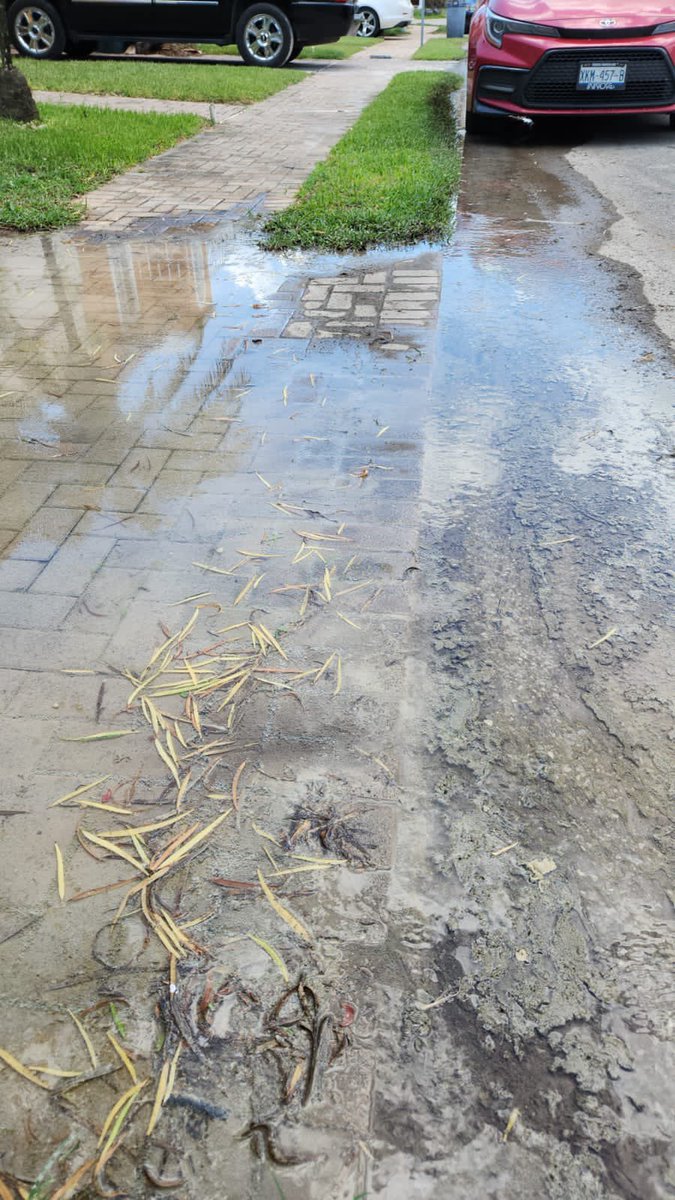 Se ha reportado una fuga hace varios días, solicito su ayuda.Calle 23 por 88 fraccionamiento Algarrobos. Agradezco su respuesta lo más pronto posible. Ya se reportó varias veces en días anteriores hoy dicen que no hay ningún reporte. 357479 Porque??? 
<a href="/JAPAYOficial/">Junta de Agua Potable y Alcantarillado de Yucatán</a>
<a href="/GobYucatan/">Gobierno de Yucatán</a>
