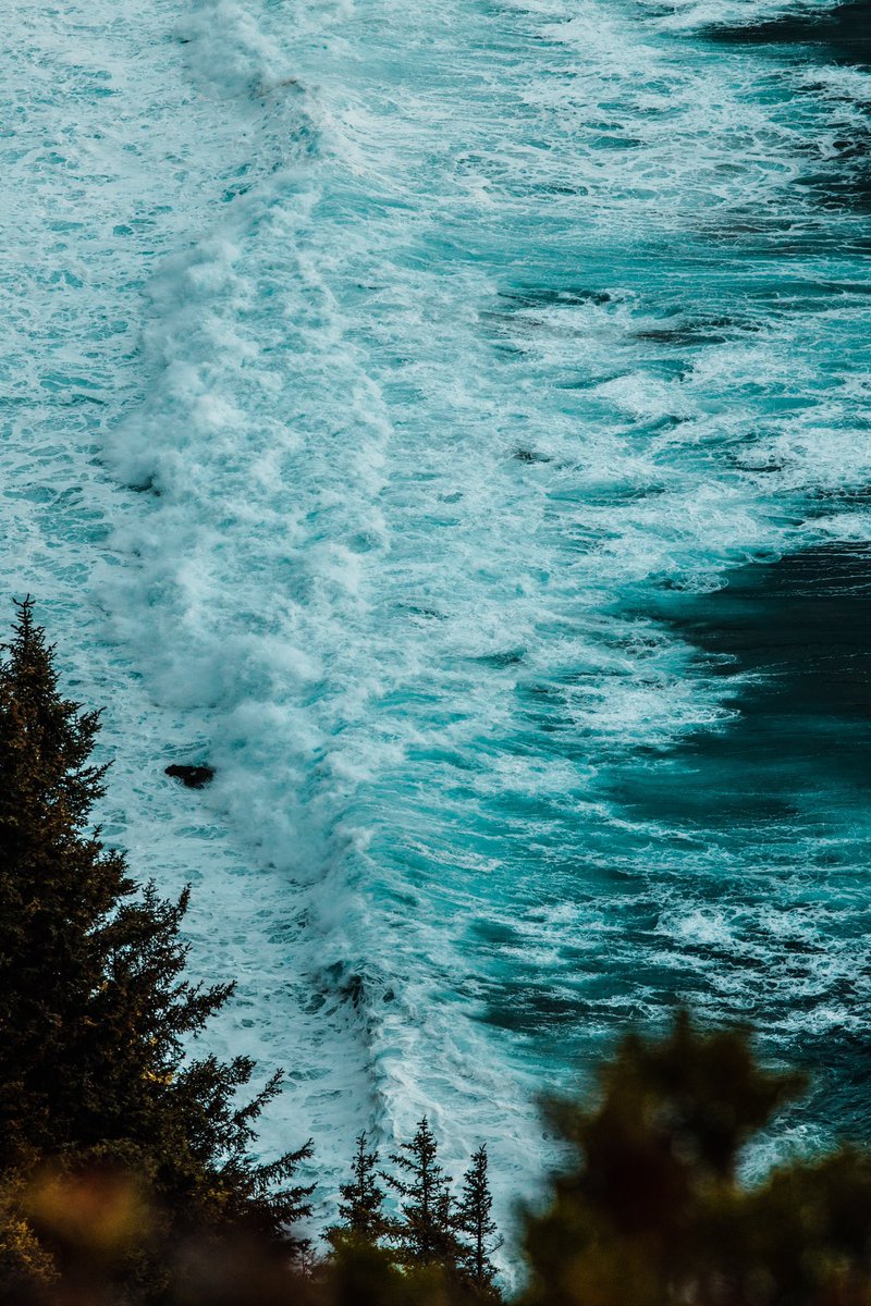 jaimedelpizz0's tweet image. the way of the sea