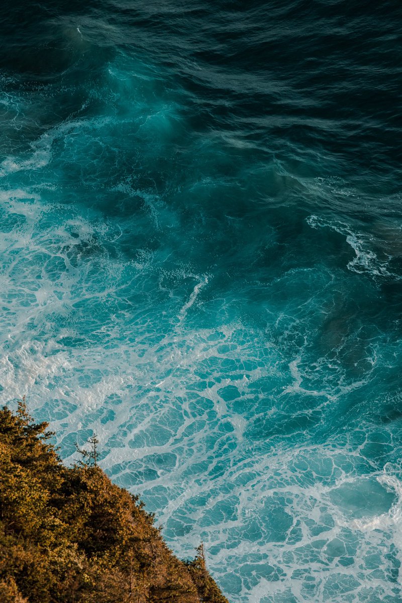 jaimedelpizz0's tweet image. the way of the sea