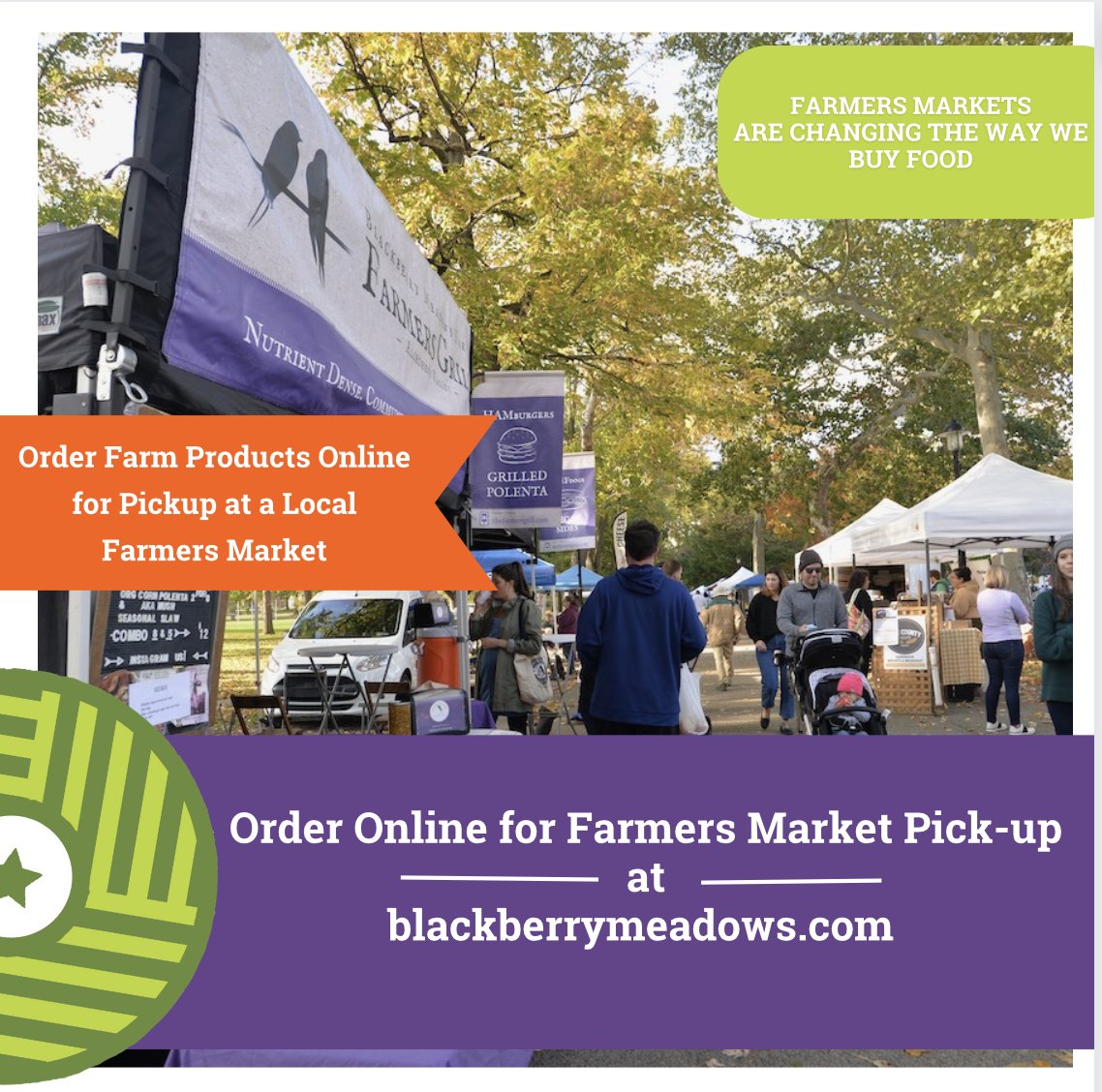 Blackberry Meadows tweet media