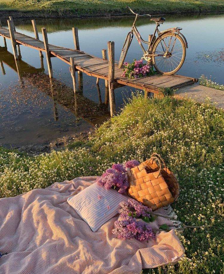 ما كان البُعد زُهدًا بيننا، و كيف أزهد فيك و أنت أنا ولكنها الأقدار خطّت أمرنا فضاق على وسع الزمان بقاؤنا

•جلال الدين الرومي ❤️‍🔥