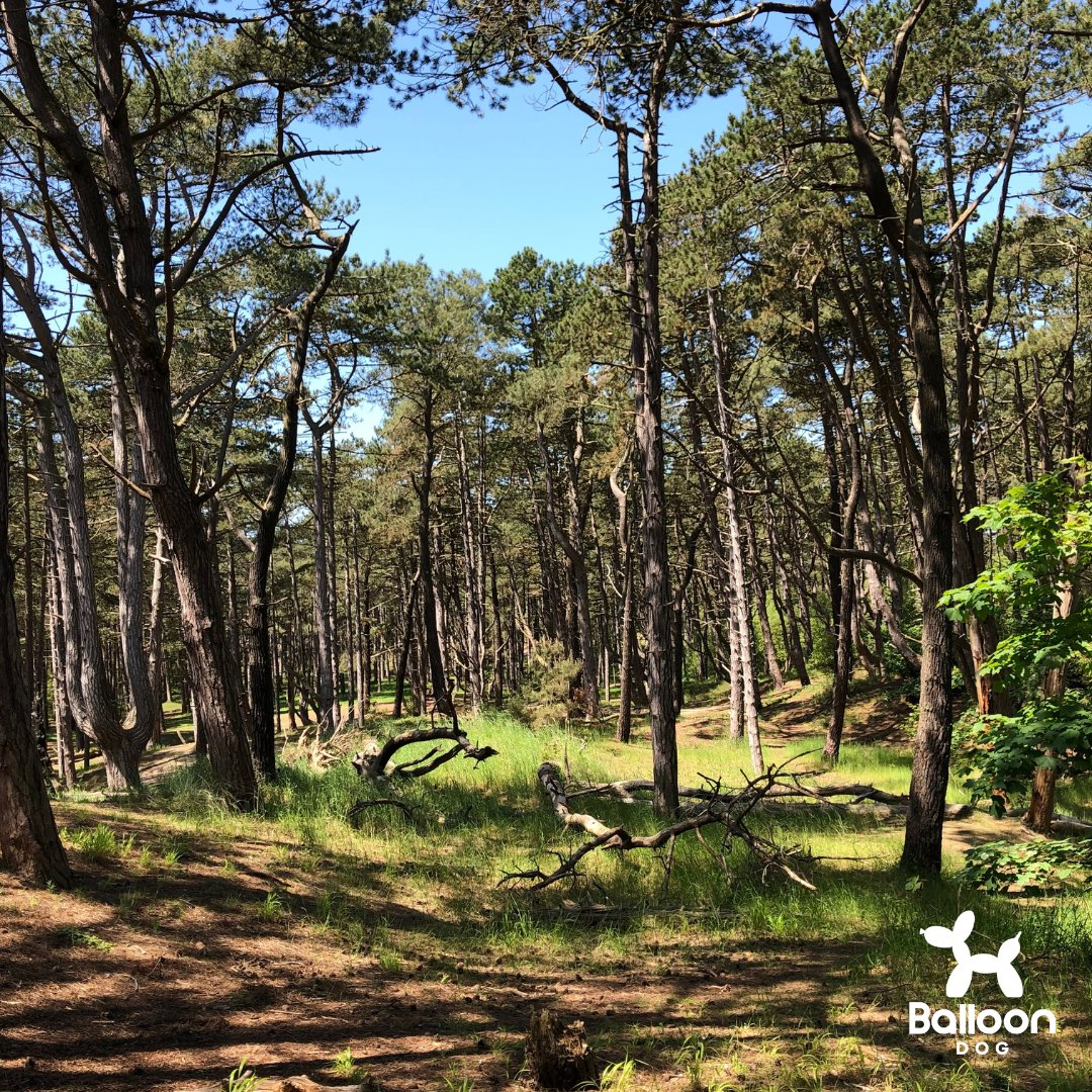 Where was your adventure this weekend ? #wellsnextthesea