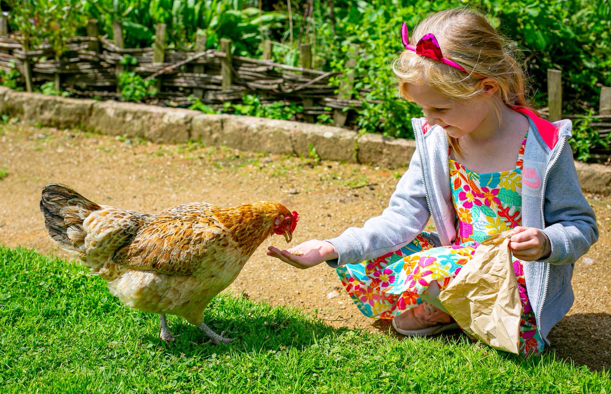 heritageyear.blogspot.com